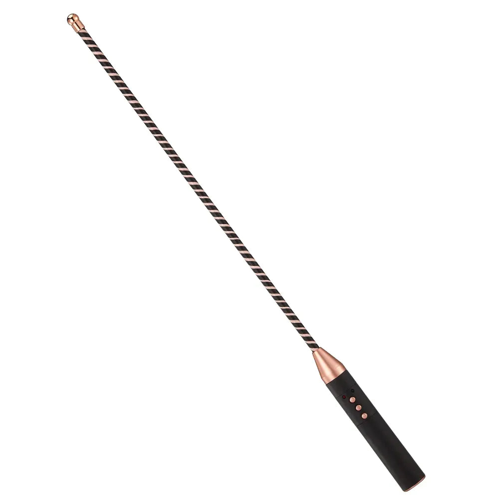 Electric Shock Bdsm Training Set Spanking Paddle Horse Whip Bat Adult Toys